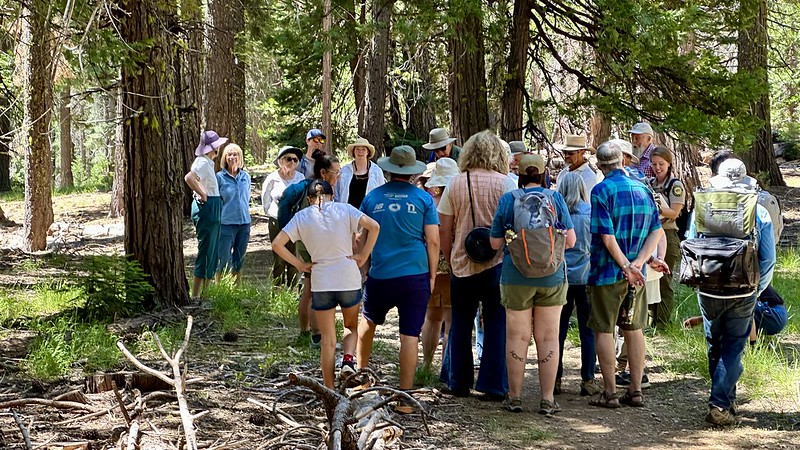 A group of people of various ages stand in the forest, listening attentively to a guide during a nature walk. They are surrounded by tall trees and greenery.